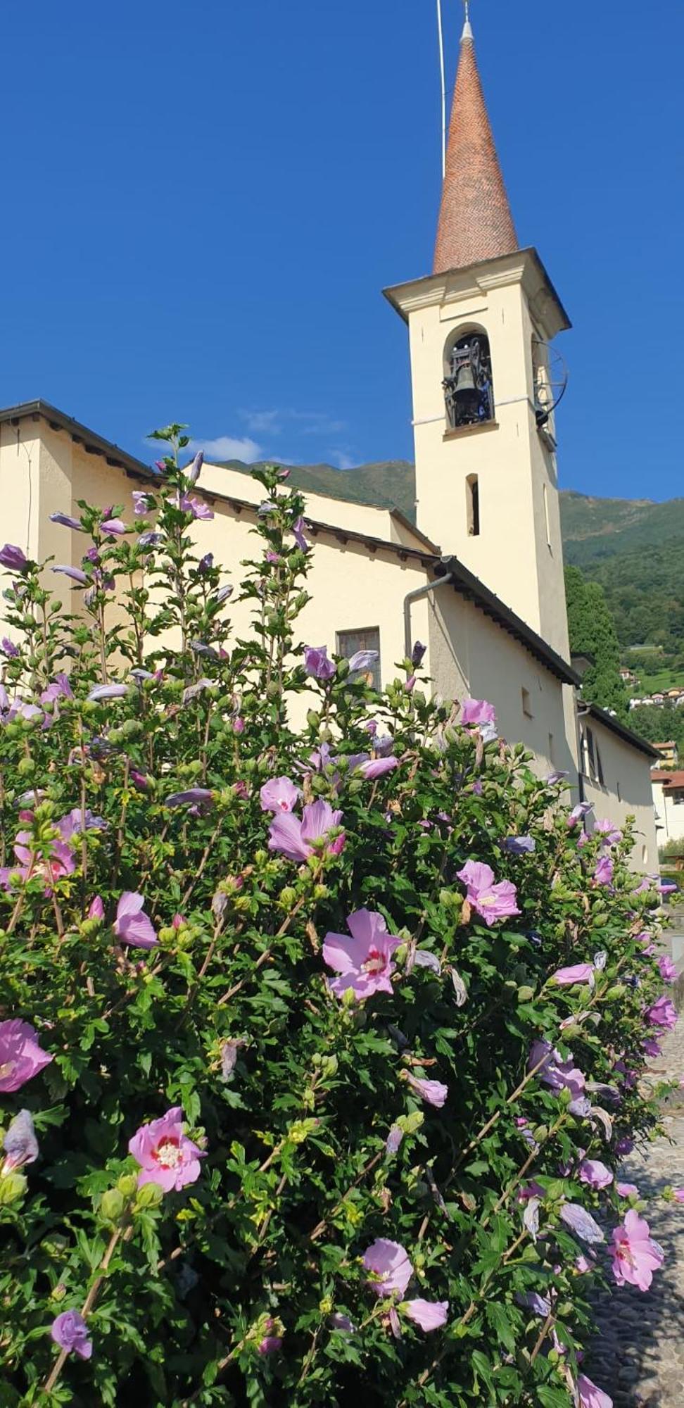 Residence Laguna Beach Pianello Del Lario Luaran gambar