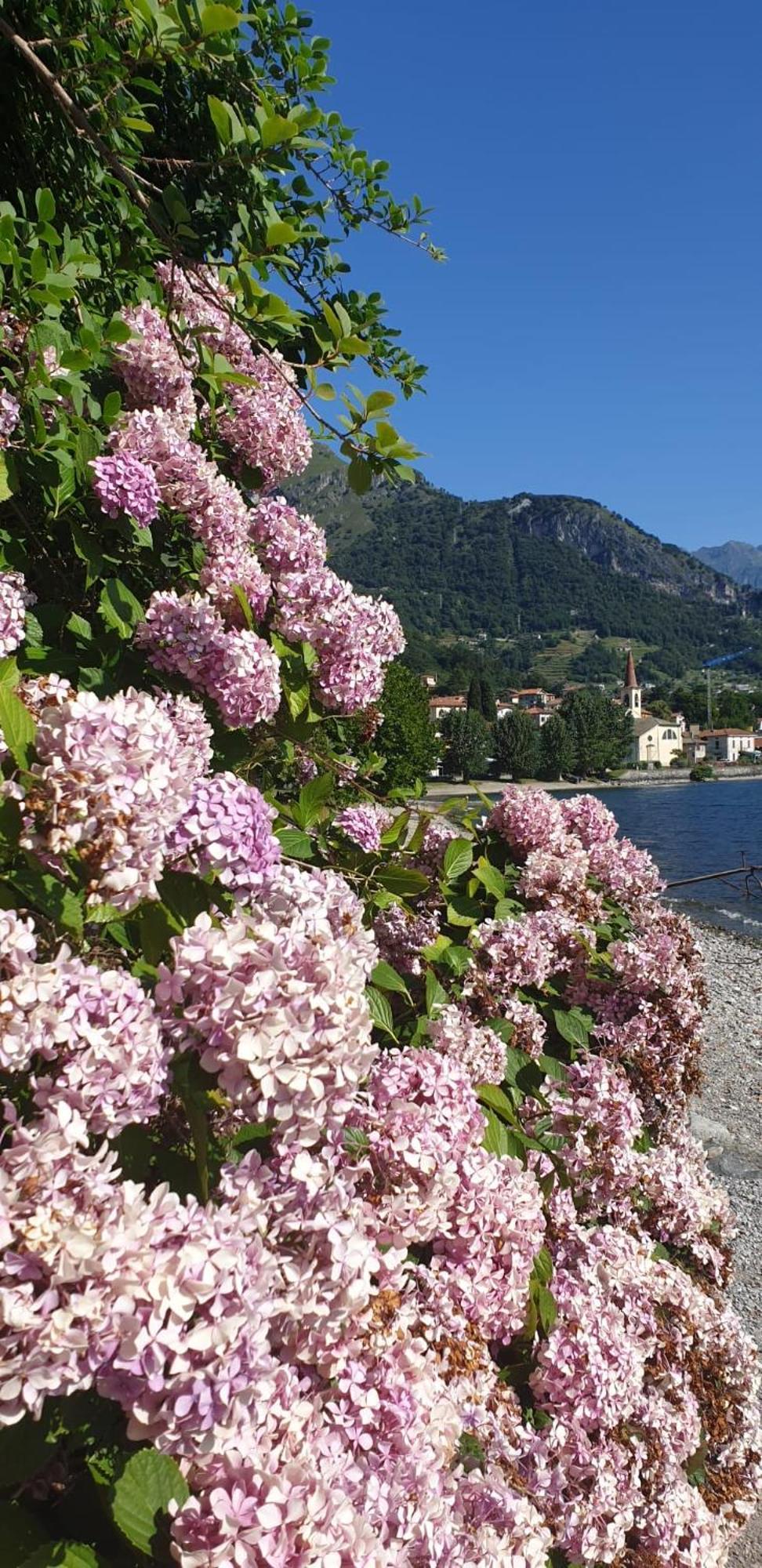 Residence Laguna Beach Pianello Del Lario Luaran gambar
